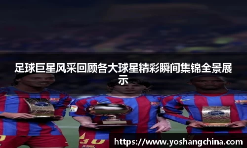 365WM完美体育官网