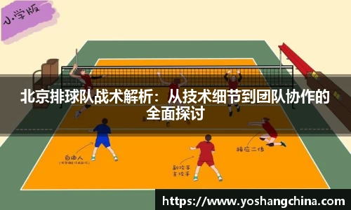 北京排球队战术解析：从技术细节到团队协作的全面探讨