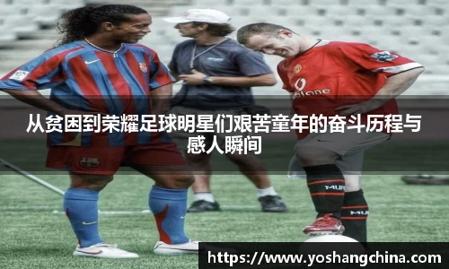 365WM完美体育官方app