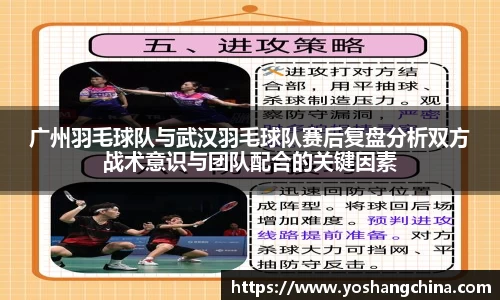 365WM完美体育官网