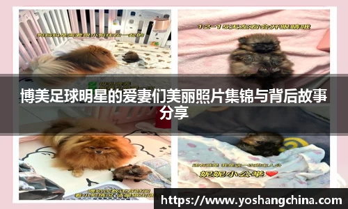 博美足球明星的爱妻们美丽照片集锦与背后故事分享